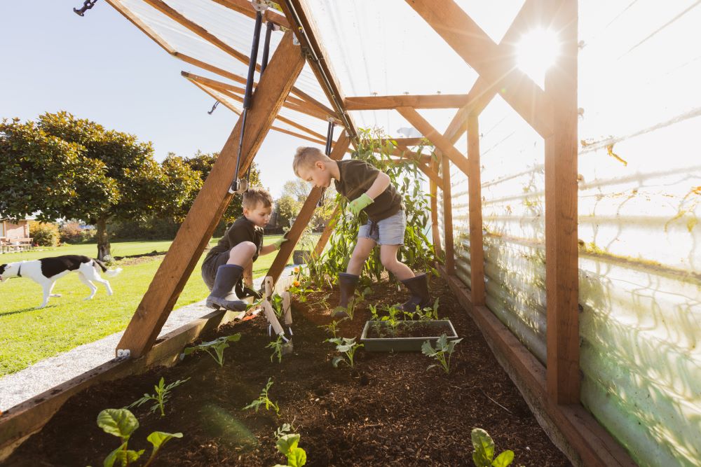 Glass house, tunnel house or APT Raised Garden Beds?