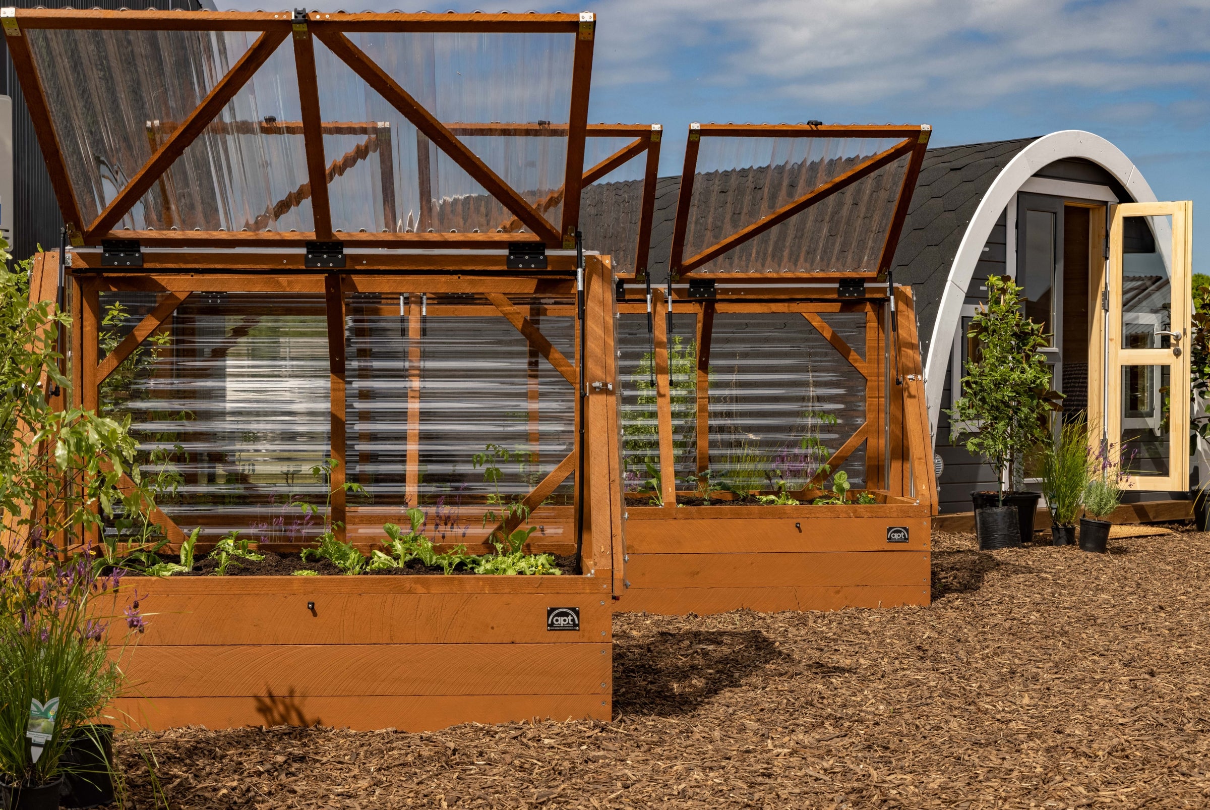 Small Garden with Canopy