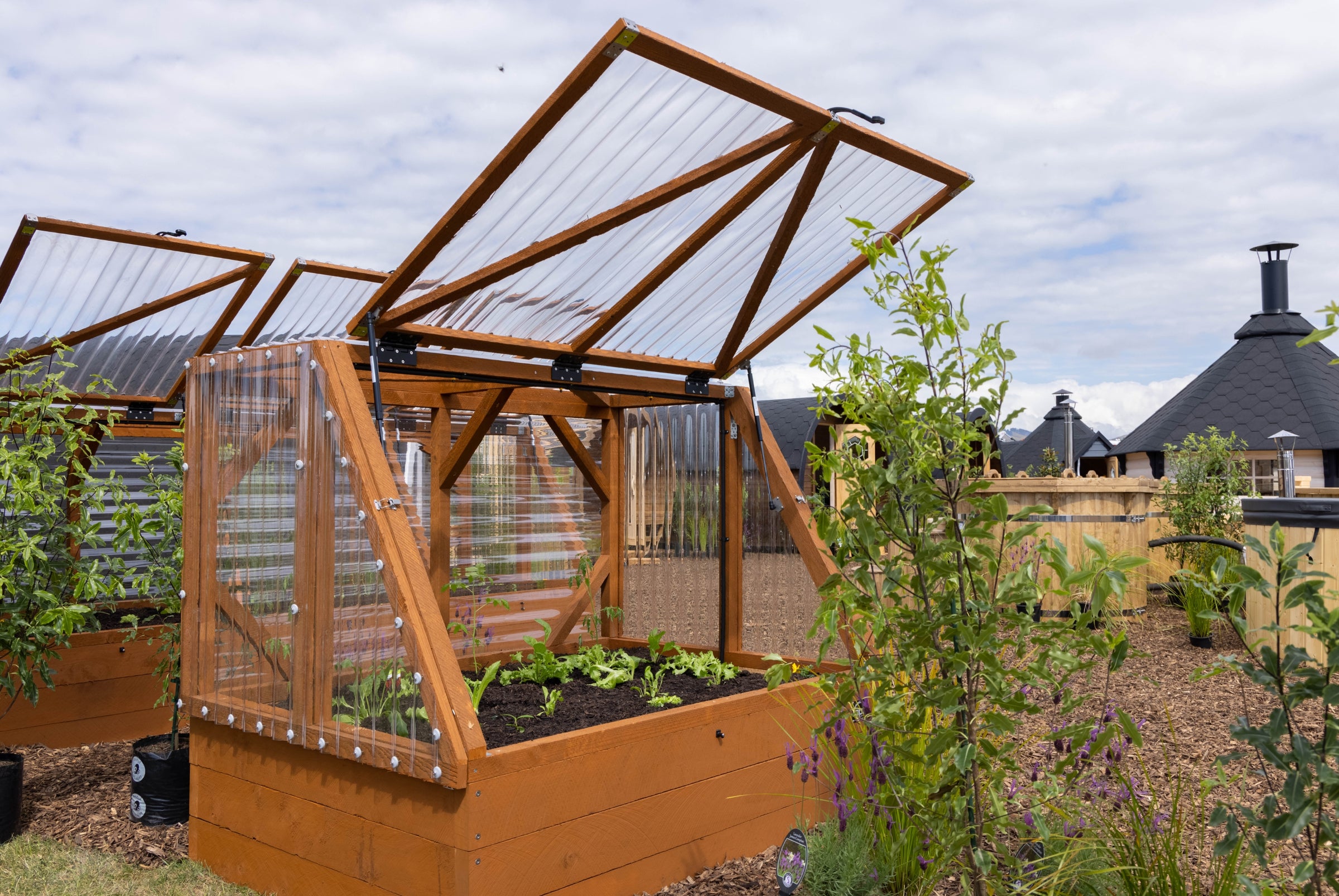 Small Garden with Canopy